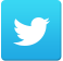 Twt2x